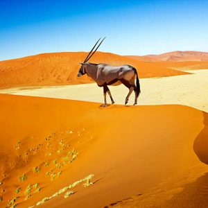 12 DAY TOUR  DESERT WONDER OF NAMIBIA